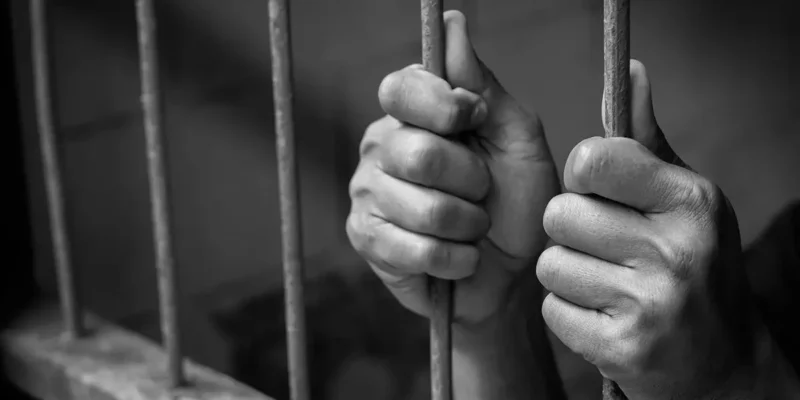 Filhos da mãe – a negação da fraternidade original pelo sistema de penas