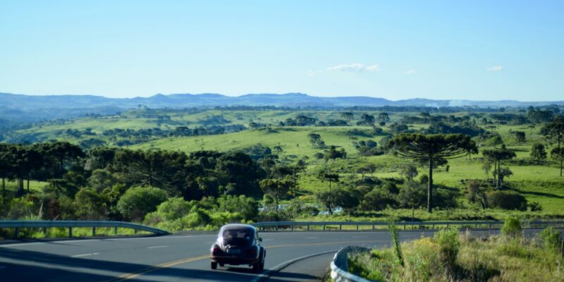 Dois géneros que se alimentam um ao outro, do autor José Manuel Simões